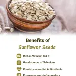 GranoFoods Premium Sunflower Seeds – Nutritious, Crunchy, and Full of Energy