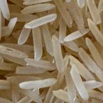 Grano Sella 1121 Steamed Rice Premium Quality